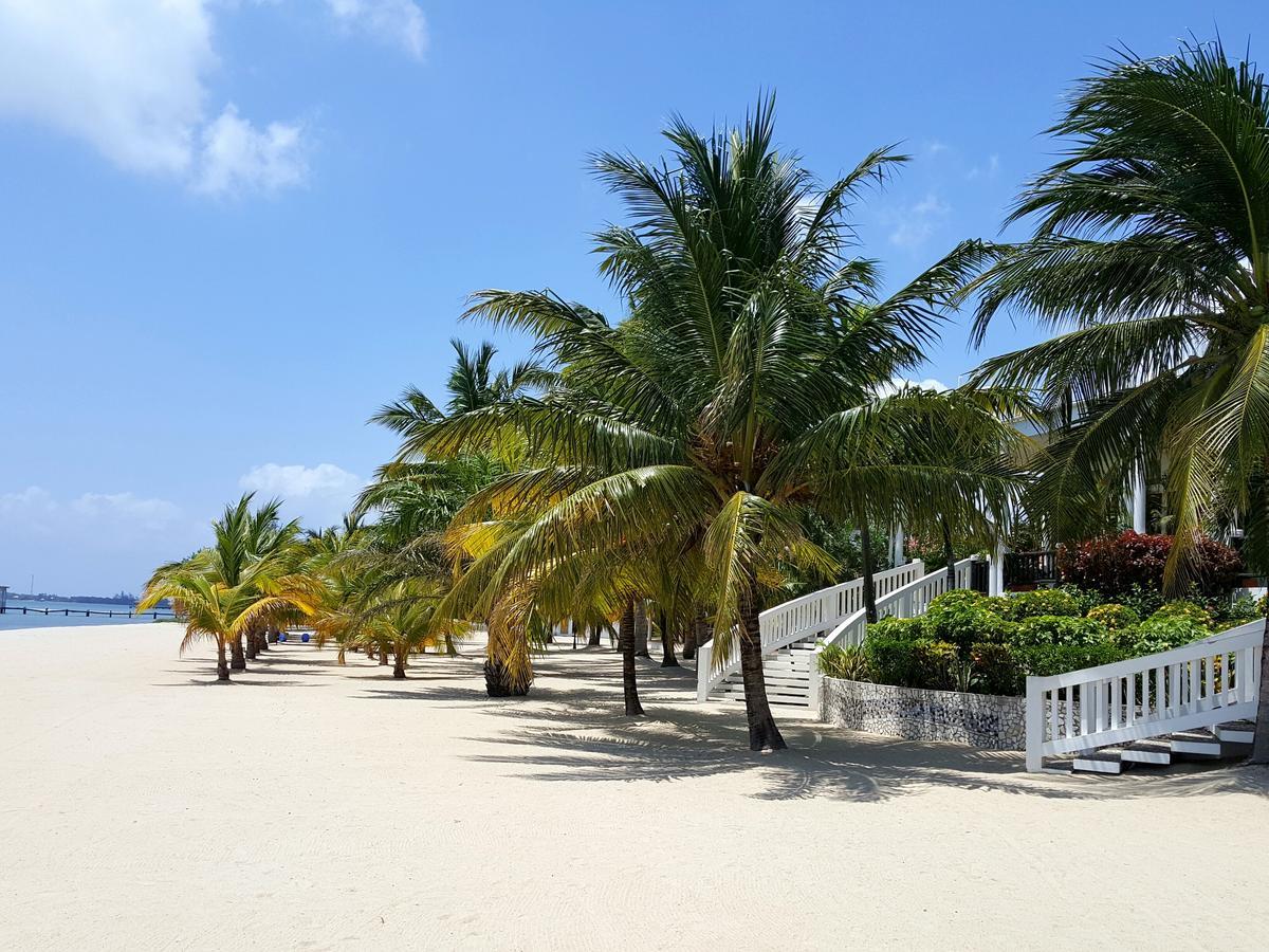 The Placencia Maya Beach Exteriör bild